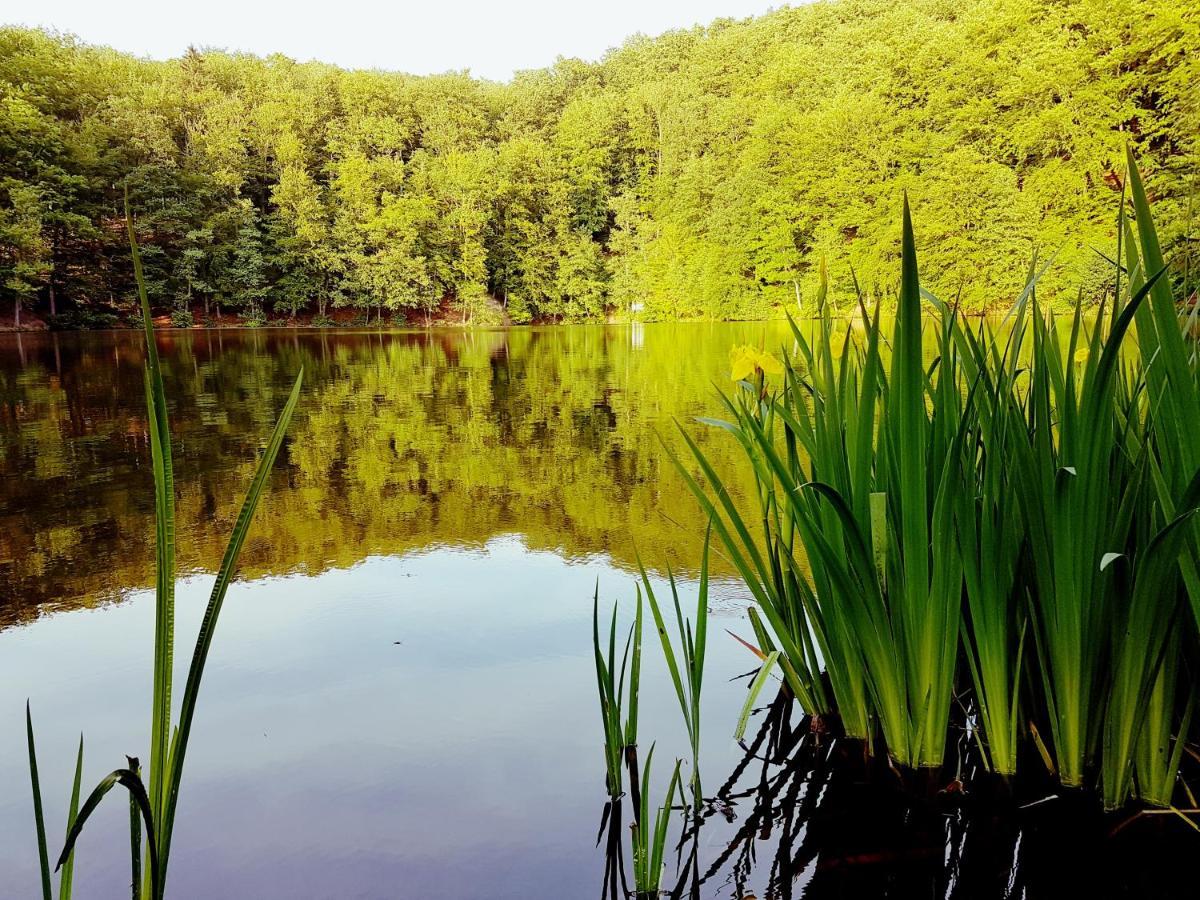 Ferienhaus Direkt Am See Mobilheim Am Schonsee Urnshausen Ngoại thất bức ảnh